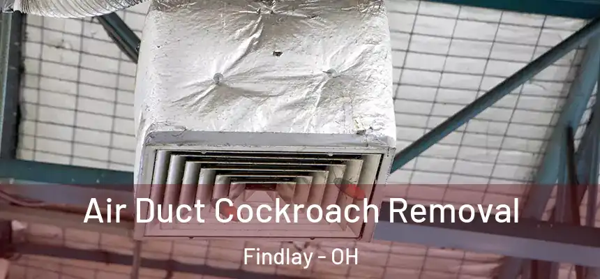  Air Duct Cockroach Removal Findlay - OH