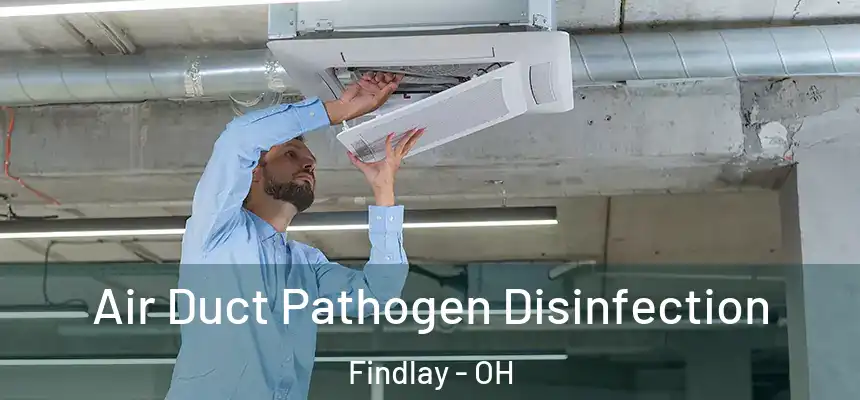  Air Duct Pathogen Disinfection Findlay - OH