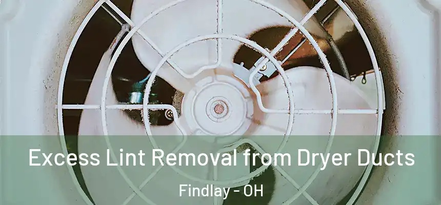  Excess Lint Removal from Dryer Ducts Findlay - OH