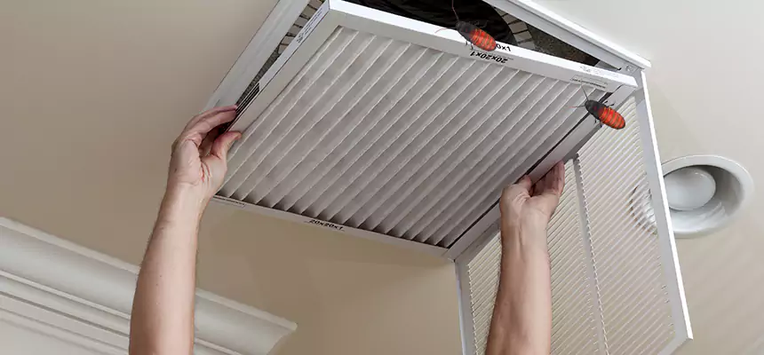 Preventive Cockroach-Proofing for Ducts in Findlay