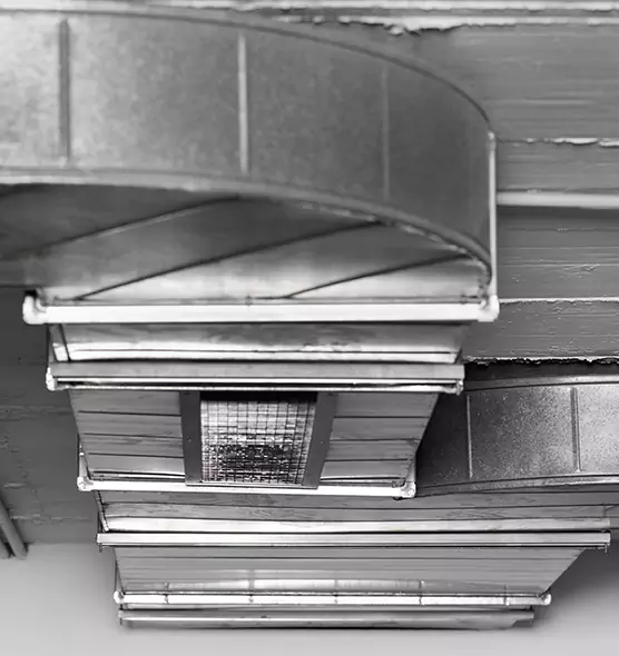 Professional Air Duct Pest Removal in Findlay, OH