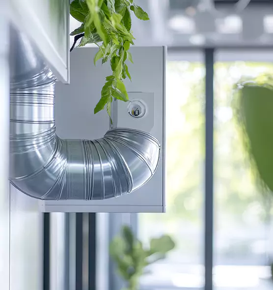 Professional Eco-Friendly Duct Cleaning Services in Findlay, OH