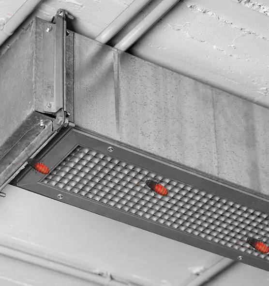 Affordable Insect Removal from Air Ducts in Findlay, OH