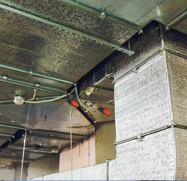 Why Homeowners & Businesses Trust Us in Findlay, OH?